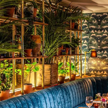 酒店 阿什酒店 4*