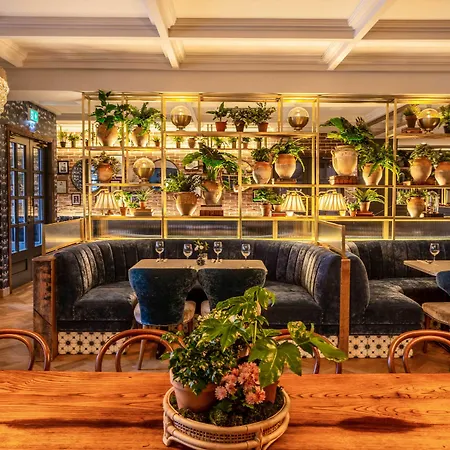 酒店 阿什酒店 特拉利