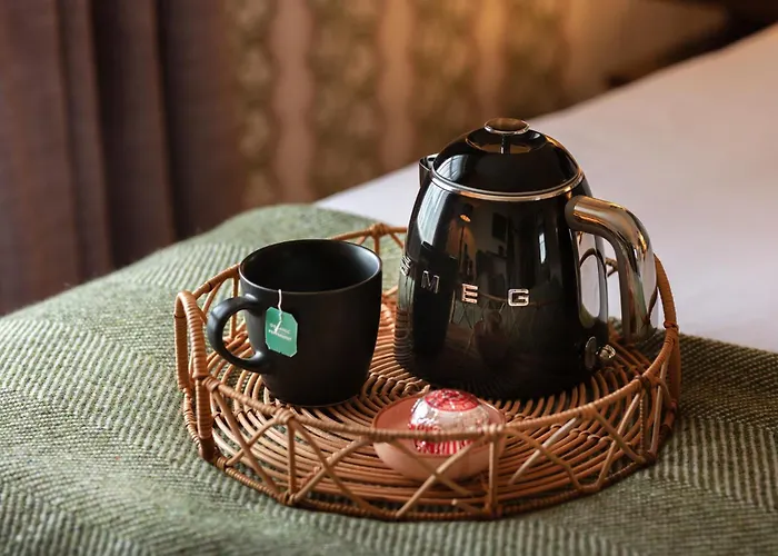 阿什酒店 4* 特拉利