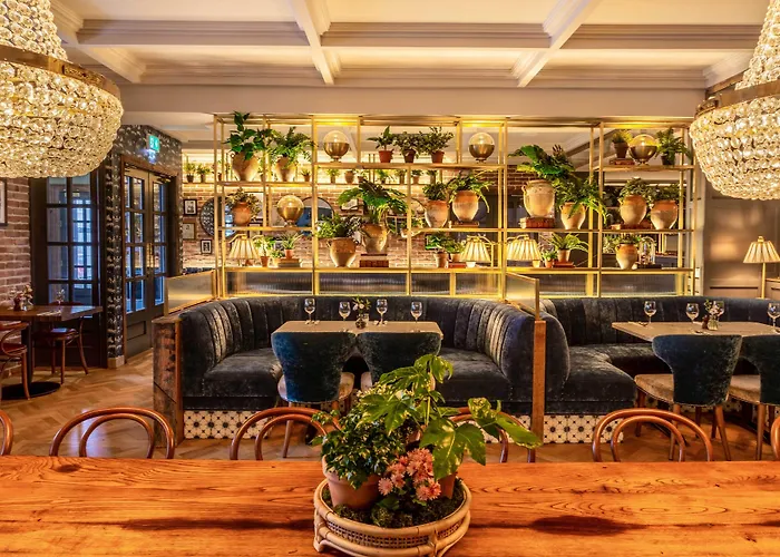 酒店 阿什酒店 特拉利